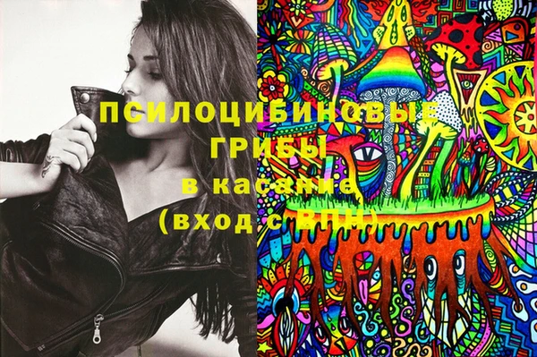 крисы Горняк