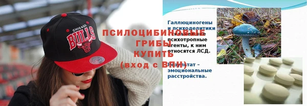 крисы Горняк