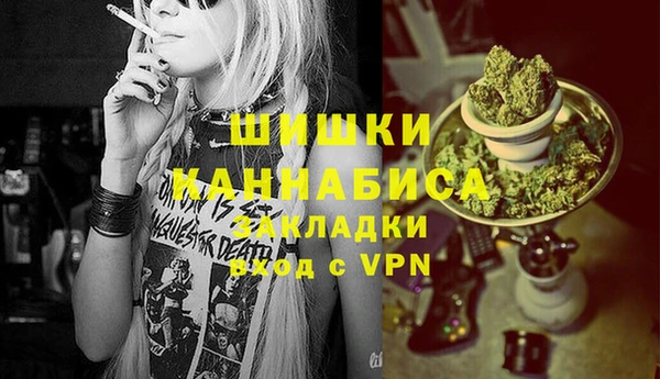 крисы Горняк