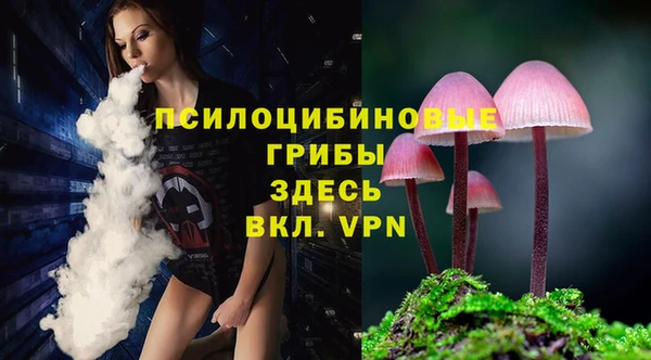 синтетический гашиш Горнозаводск